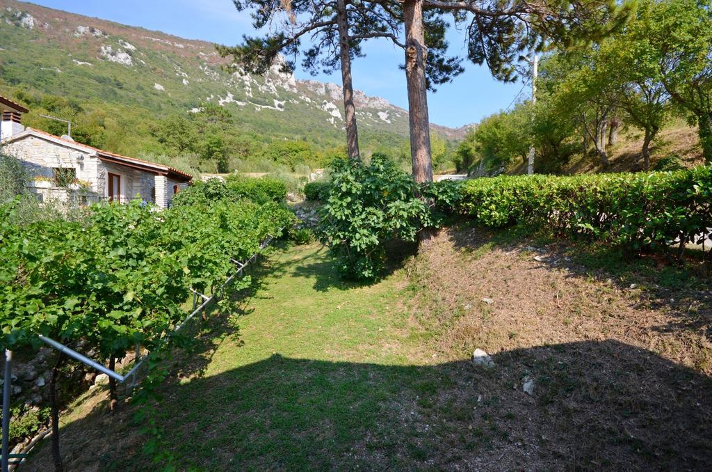 Apartment Josip