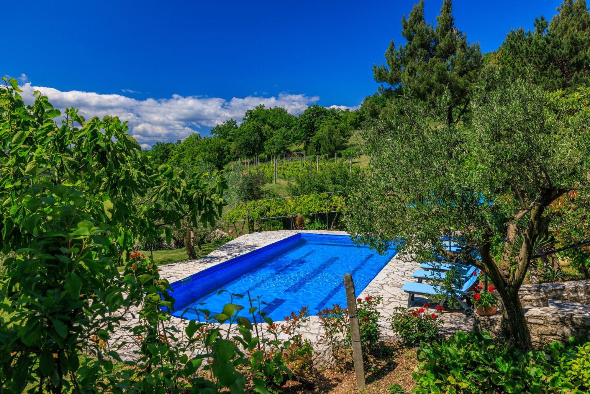 Josip Apartament *